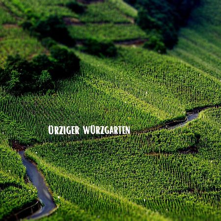 Apartment Weingut Dr Hermann I Эрден Экстерьер фото
